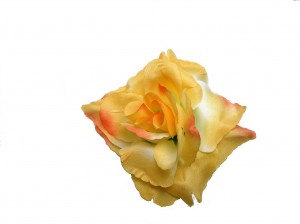Duše-(53)
